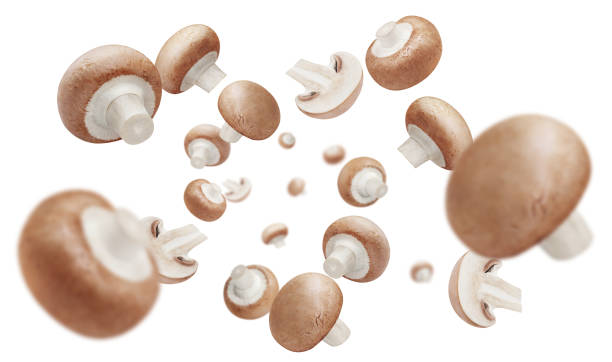 istock Flying champignon mushrooms on white 1390336394