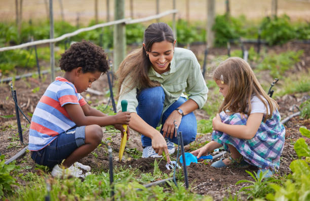 Full length shot of an attractive young woman and two adorable little kids working on a farm Teaching them about soil field trip stock pictures, royalty-free photos & images
