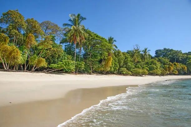 Photo of pristine tropical beach - Manuel Antonio NP
