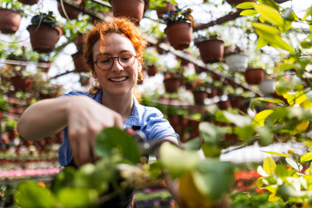 молодая рыжеволосая женщина-садовник, работающая в теплице - gardening women florist flower стоковые фото и изображения