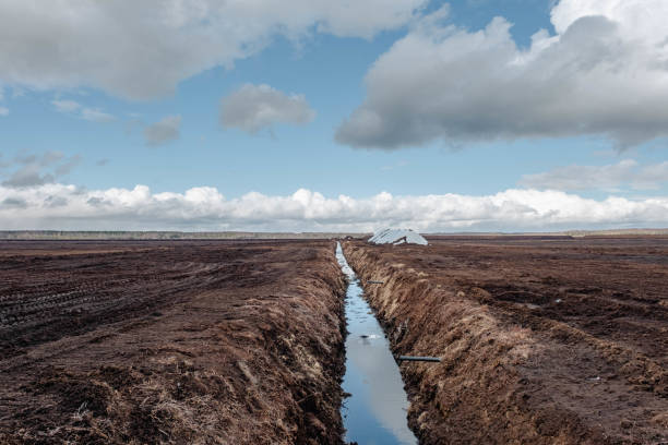 Drainage ditch in the peat extraction site. Drainage and destruction of peat bogs.