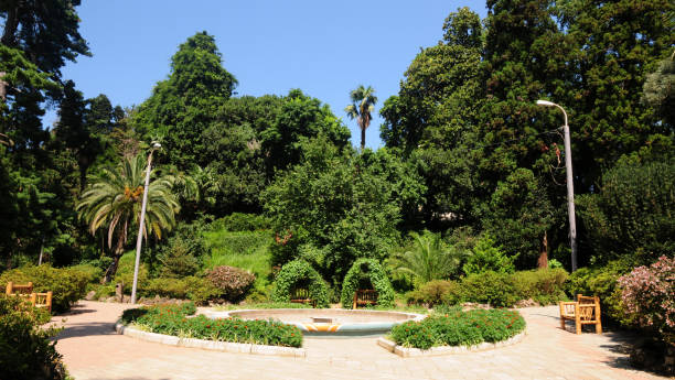 istock Batumi Botanical Garden - Georgia 1390341031