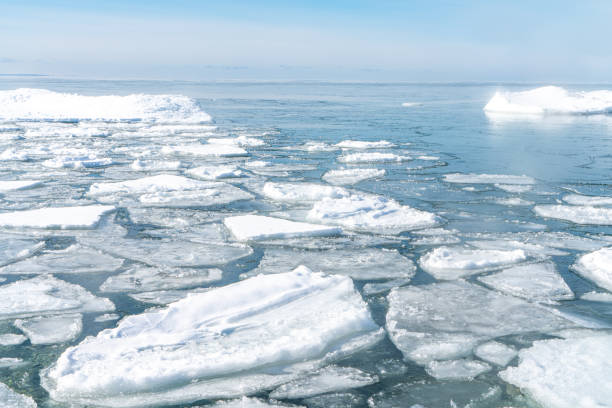 istock Georgian bay in winter,Tiny, Canada 1390343381
