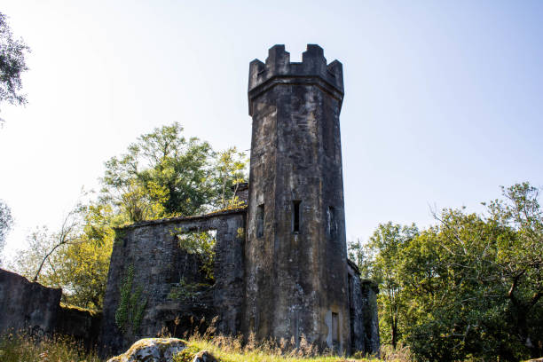 istock Castle tower ruin in the mountains Between Cork and Kerry Ireland 1390343506