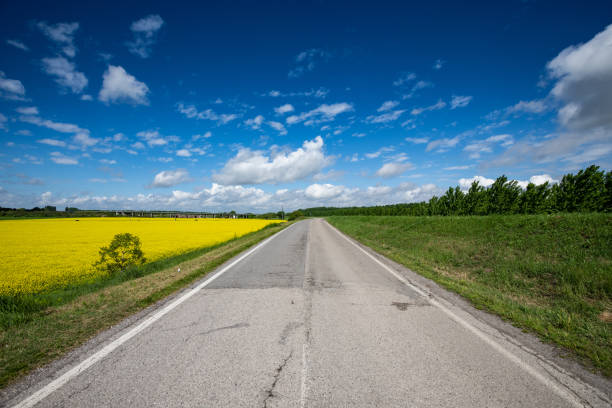 Long road dividing an oilseed rape field and a grain field with cloudy blue sky