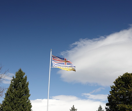 Sovereign Military Order of Malta flag waving on the flagpole on a sky background