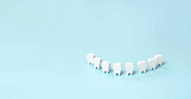 istock Teeth models standing in a row making a smile on a blue background. Dental banner background. Healthy, strong snow-white teeth.  World Dentist Day. International Oral Health 1390346756