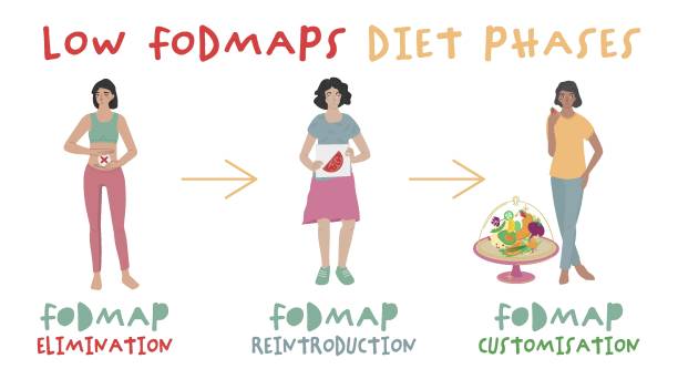 Low FODMAPS diet phases. Irritable Bowel Syndrome. Horizontal banner Low FODMAPS diet phases. Fodmaps are hard to digest carbohydrates and sugars. Healthy nutrition infographics. Irritable Bowel Syndrome. Digestive problems causes. Landscape poster. Vector illustration carbohydrate food type stock illustrations