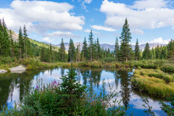 istock Beautiful mountain lake in summertime 1390348910