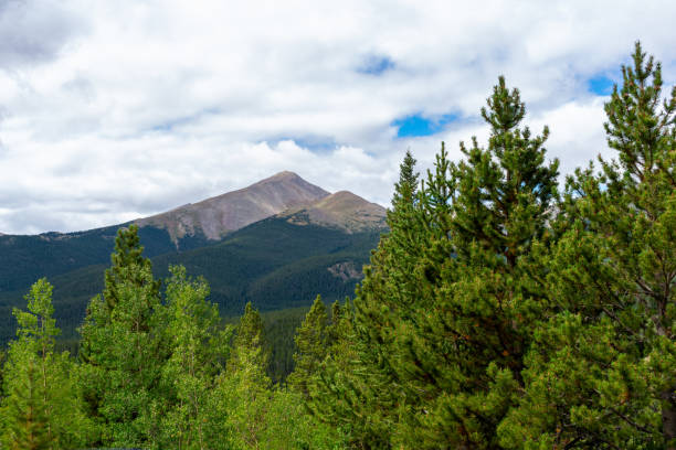 istock Mountain peaks with pine trees in foreground 1390348987