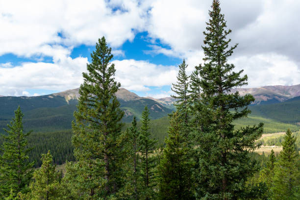 istock Mountain landscapre with clouds and blue sky 1390349015