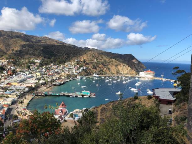 istock Avalon Catalina Island 1390349353