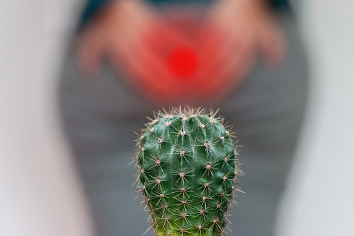 Un cactus frente a la mujer en los pantalones sosteniendo el suyo por el, de cerca. photo