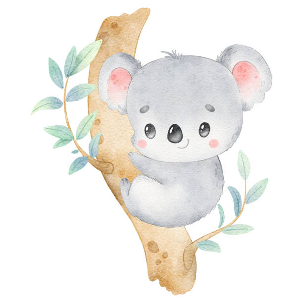 ilustrações de stock, clip art, desenhos animados e ícones de illustration of a cute cartoon koala isolated on a white background. little cute watercolor animals. - eucalyptus tree tree australia tropical rainforest