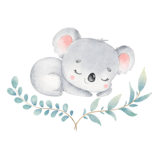 白い背景に孤立して眠っているかわいい漫画コアラのイラスト。小さなかわいい水彩画の動物。 - koala australia animal isolated点のイラスト素材／クリップアート素材／マンガ素材／アイコン素材