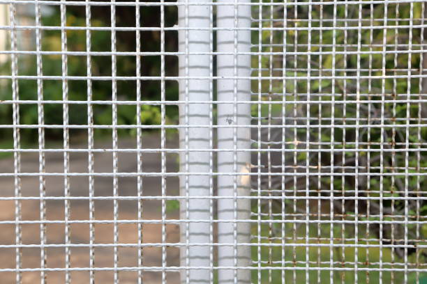 istock Steel grating made into a fence painted white 1390372916