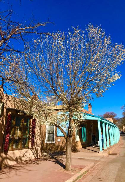 istock Downtown Santa Fe, New Mexico 1390377323