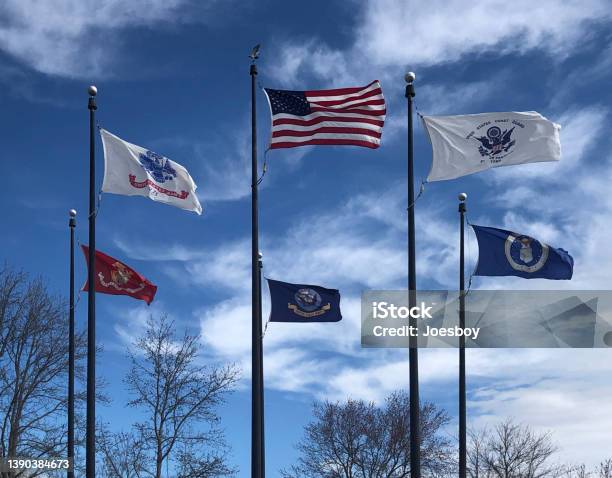 Military Memorial Flag Array Stock Photo - Download Image Now - US Military, Flag, Insignia