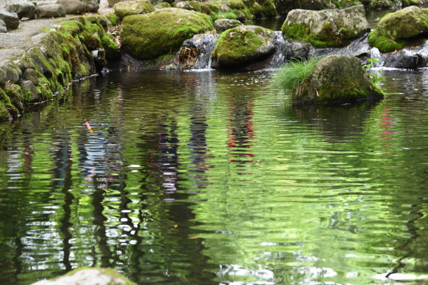 Blue vintage mystical rocky river bank with pine tree reflection