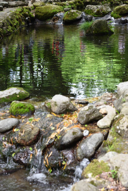 in Nasu, Tochigi