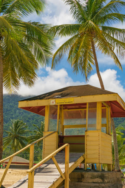 istock A yellow lifeguard stand under palm trees 1390393946