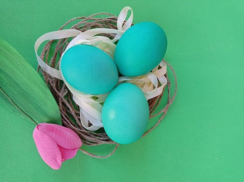 Easter eggs in a nest of the green background and flower