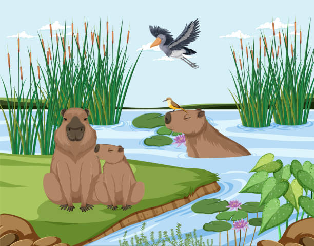 feuchtgebiet waldszene mit capybara - wasserschwein stock-grafiken, -clipart, -cartoons und -symbole
