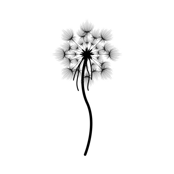 istock Abstract Hand Drawn Dandelion Flower Plant Botanic Floral Nature Bloom Doodle Concept Vector Design Outline Style On White Background Isolated 1390405187