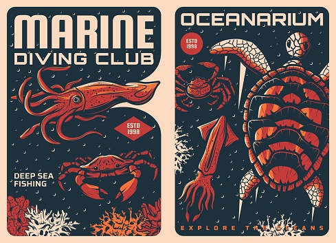 Squid, crab and turtle retro posters. Marine diving hobby, deep sea fishing sport and oceanarium exposition vintage posters or vector banners with corrals, ocean and sea animals species