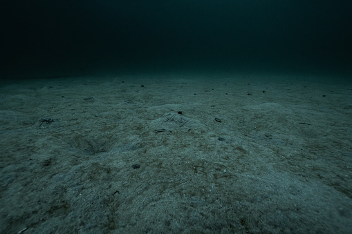 An underwater shot of the sandy bottom of the Atlantic ocean, deep dark and scary
