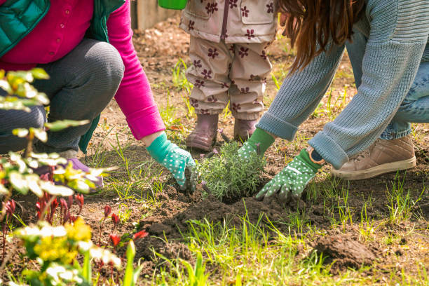 istock Two woman planting flowers into ground 1390423741