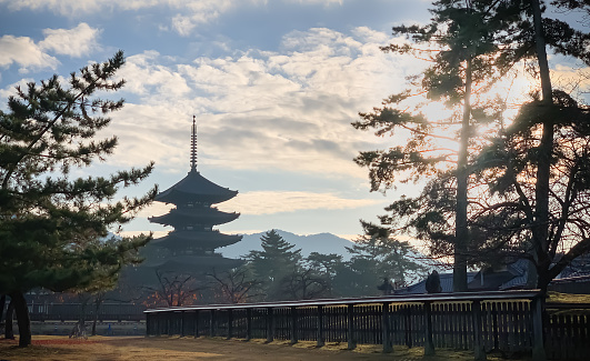 Nara, Japan - Dec 10, 2019: Five-storied pagoda and deers in Kofukuji temple in morning