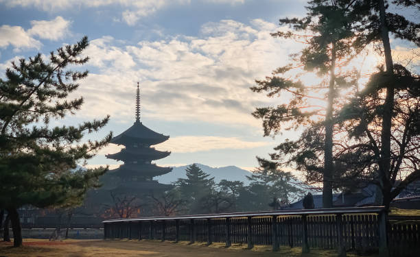 Five-storied pagoda in Kofukuji temple Nara, Japan - Dec 10, 2019: Five-storied pagoda and deers in Kofukuji temple in morning nsra stock pictures, royalty-free photos & images