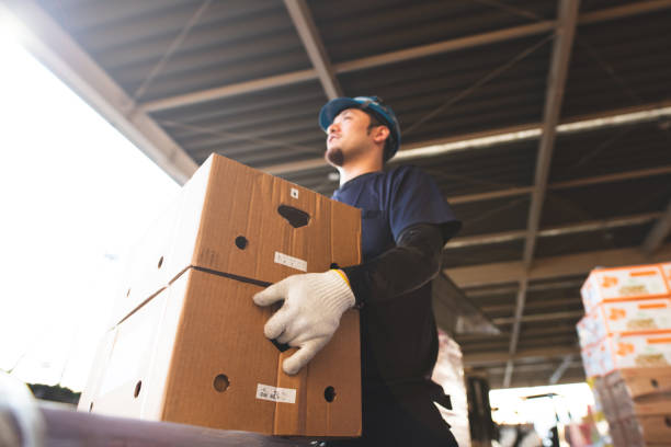 仕分け作業をする男性の手 - freight transportation 写真 ストックフォトと画像