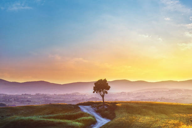 Location: Crete Senesi, Siena Province, Tuscany, Italy