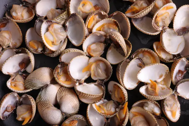 Detail of a ration of grilled cockles from the Galician estuary