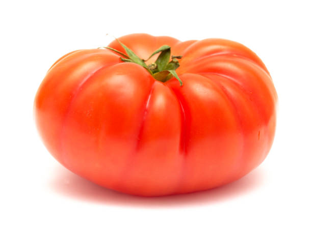istock Large ground grown tomato from Canary Islands 1390431023