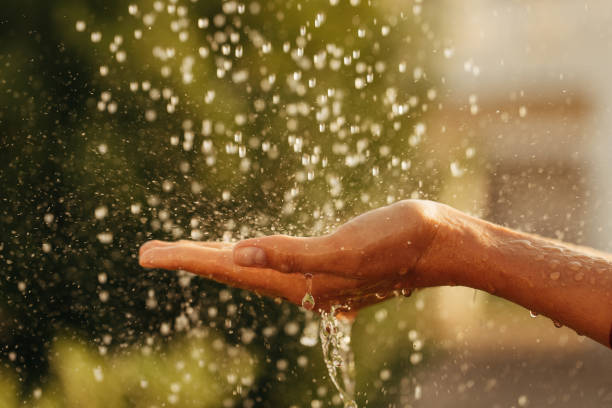 Enjoying summer. Human hands with water splashing on them stock photo