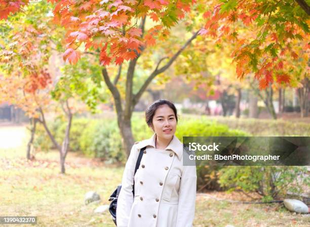 Beautiful Tourist Girl Take Photo On Colorful Autumn Tree Background In Korea Isalnd Called Nami Island Stock Photo - Download Image Now