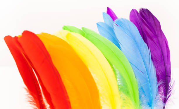 istock Feathers in LGBT rainbow colors 1390433132