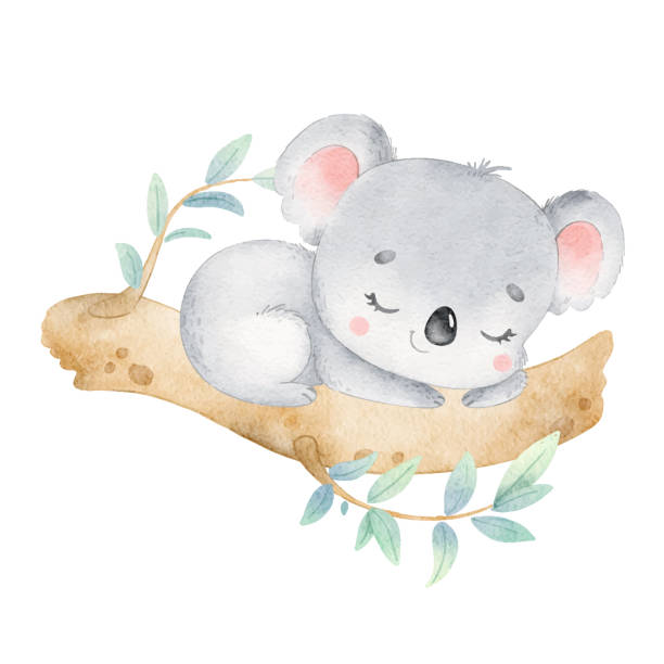 illustration des niedlichen cartoon-koalas, der isoliert auf weißem ba schläft - jungtier stock-grafiken, -clipart, -cartoons und -symbole