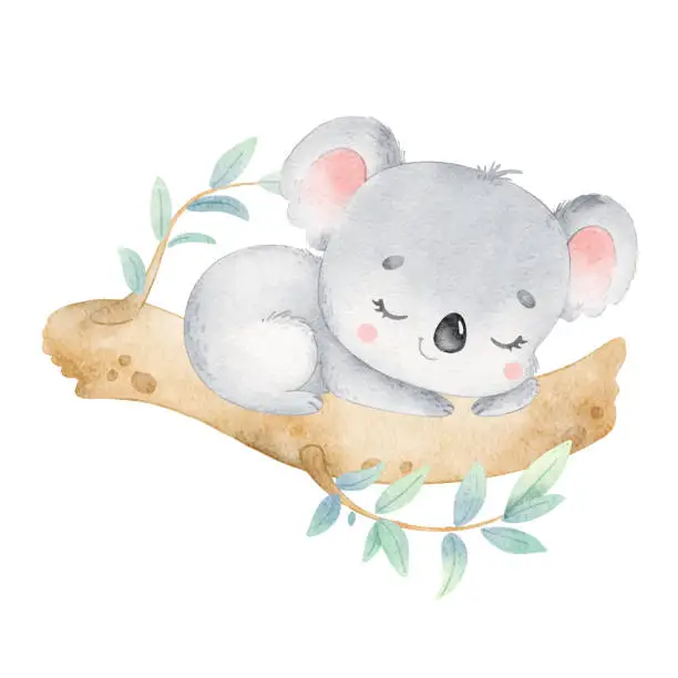 Vector illustration of Illustration of cute cartoon koala sleeping isolated on white ba