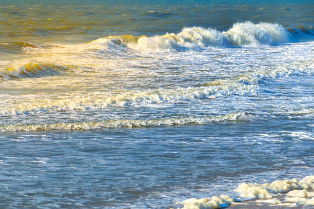 istock Beautiful panorama of splashing blue wave curl 1390444794