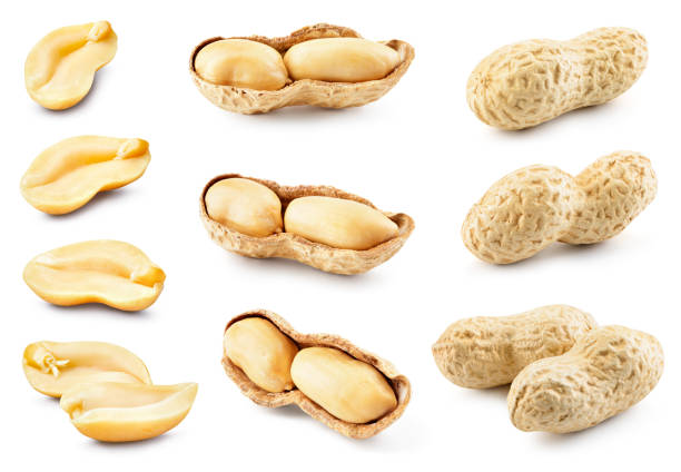 istock Peanut isolated. Peanuts set on white background. Peeled and unpeeled nut collection. Whole and half of nuts. Full depth of field. 1390448579