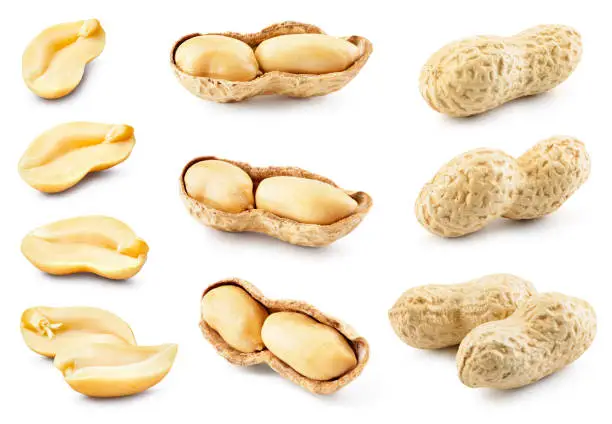 Peanut isolated. Peanuts set on white background. Peeled and unpeeled nut collection. Whole and half of nuts. Full depth of field.