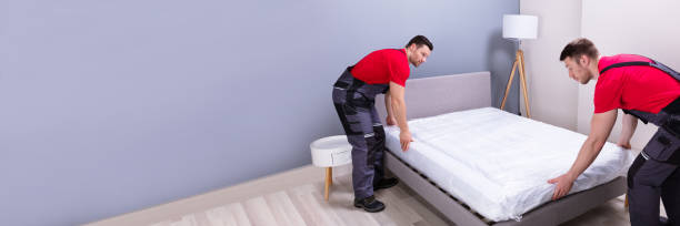 istock Young Male Movers Placing The Mattress Over The Bed 1390452603