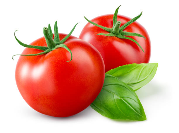 istock Tomato isolated. Tomato on white background. Two tomatoes with green basil leaves. Clipping path. Full depth of field. 1390453526