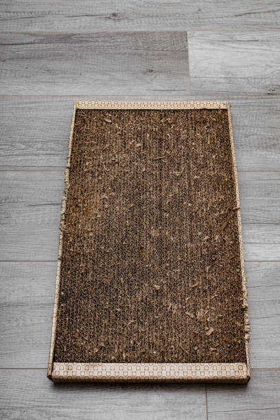 istock a used cardboard cat scratching post is lying on the floor 1390453787