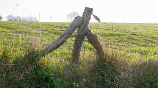 istock Rustic wooden fence in green grass field 1390454810