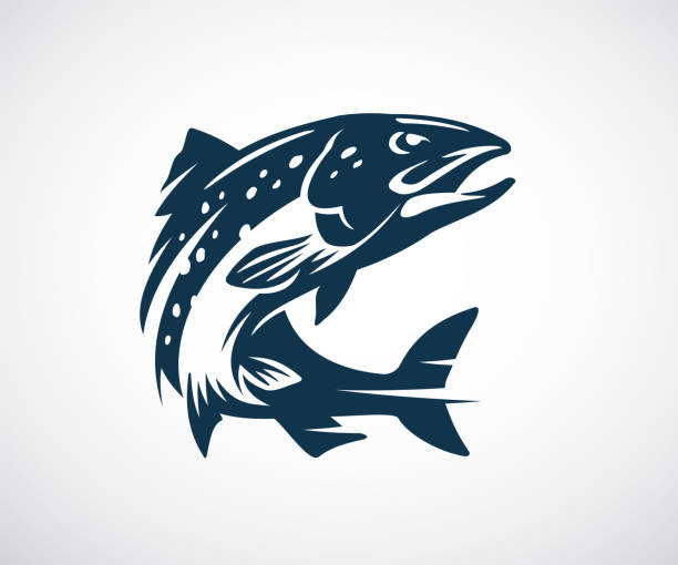logo-vorlage für lachs oder forelle. springfische isoliert auf weißem hintergrund. fischereikonzept. vektorillustration. - salmon stock-grafiken, -clipart, -cartoons und -symbole
